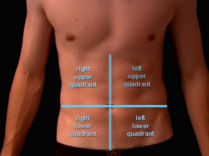 Upper Right Abdominal Quadrant Diagram